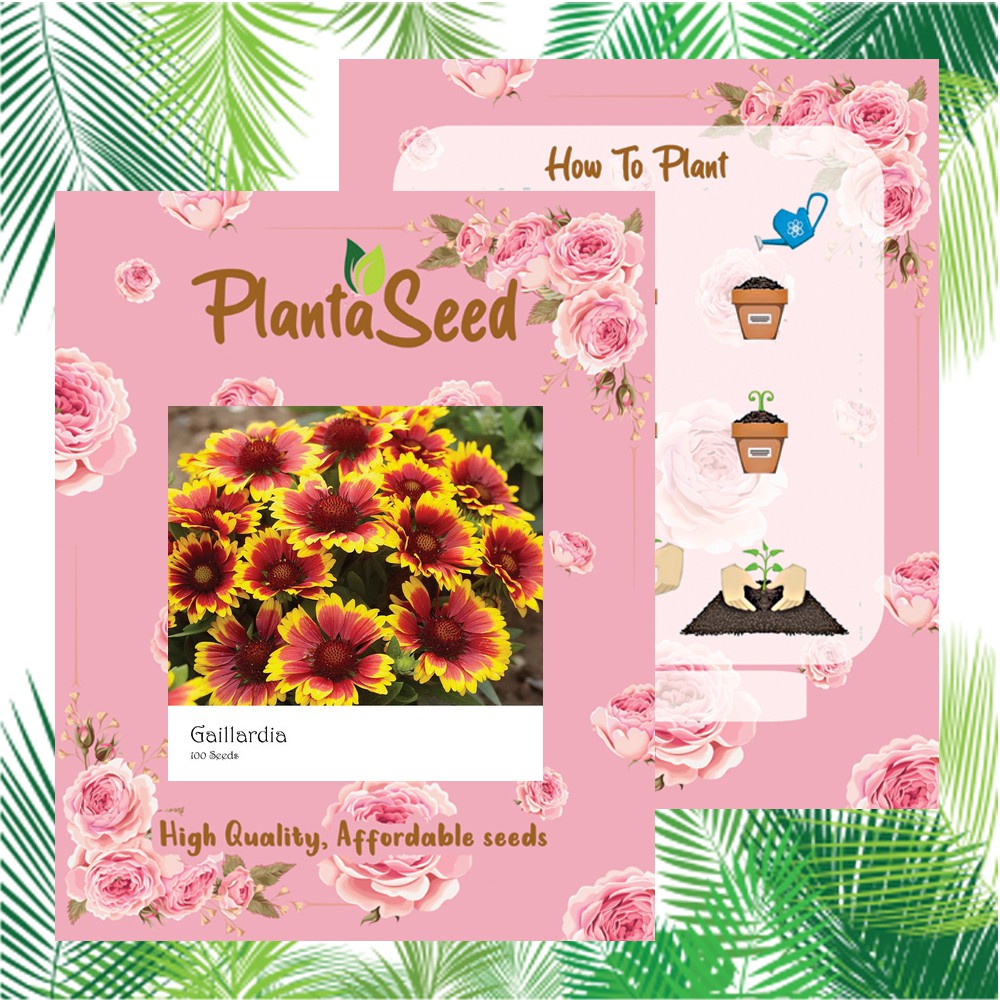 PlantaSeed - 100 Seeds - Gaillardia Benih Bibit Biji Bunga - PAS0199