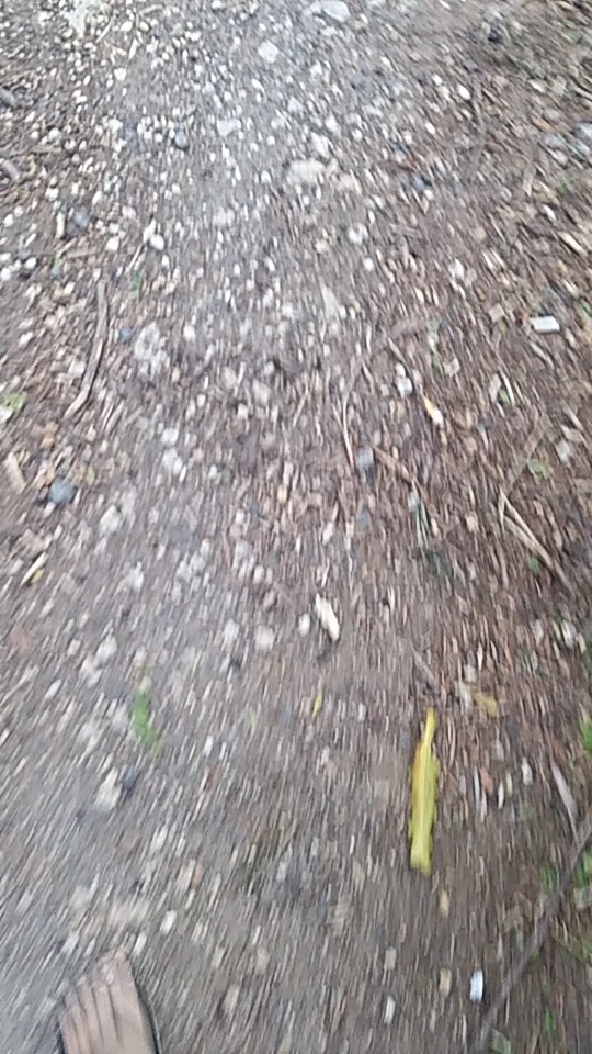 Teko Aladin Plastik - Teko Cuci Tangan Murah Grosir