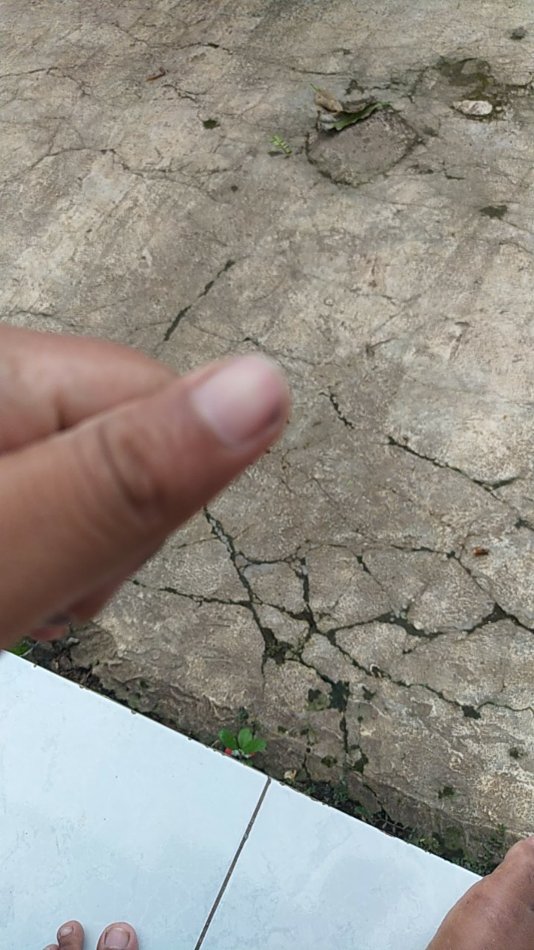 Grendel/slot Pintu Solid 627 12 Sn