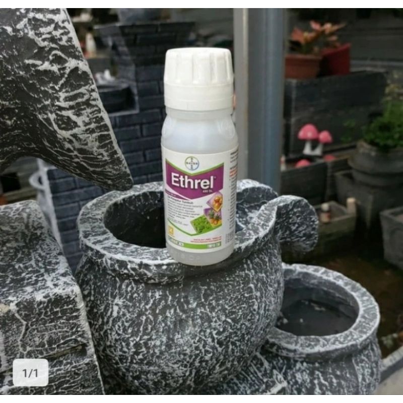 ZPT ETHREL 100 ML , PEMATANG BUAH PISANG PREMIUM