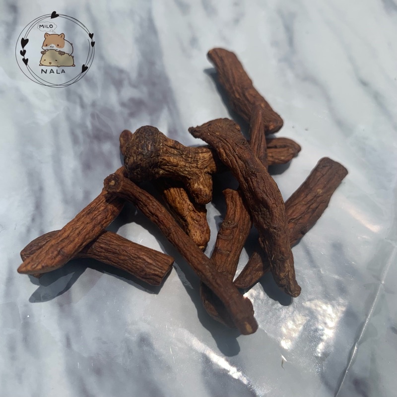 

Dandelion Roots 10gr | Akar Dandelion | Chew Toys | Gigitan Hamster