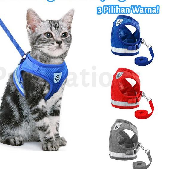 Harga Harness Anjing Rompi Terbaru November 2021  BigGo Indonesia