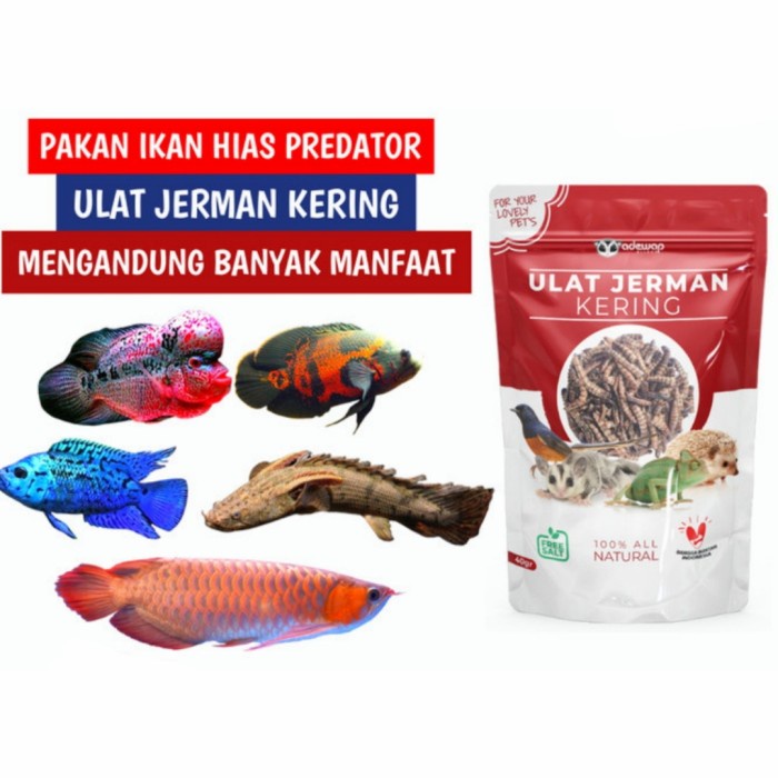 Ulat Jerman Kering - Pakan Ikan Predator / Burung Kicau / Sugar Glider