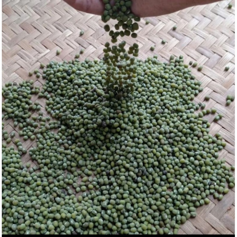 

Kacang Hijau Organik Bergizi Kaya Manfaat 1Kg