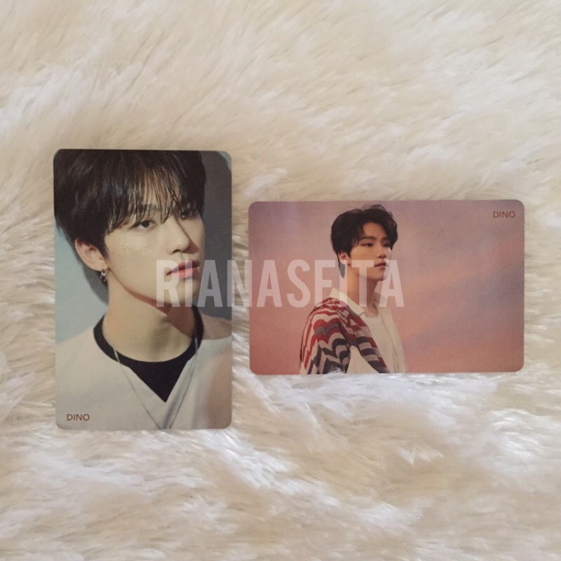 [READY] SEVENTEEN HMV FALLIN FLOWER DINO PHOTOCARD / PC