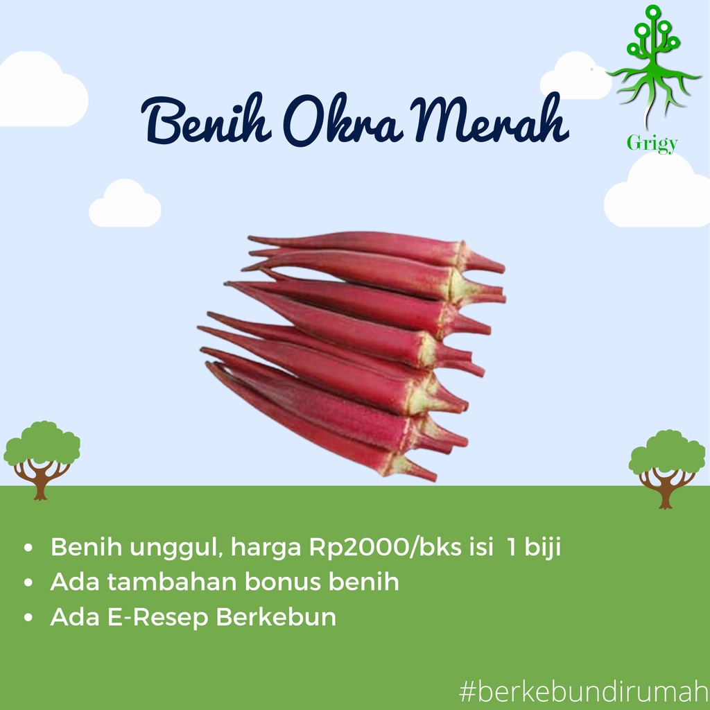 BENIH OKRA MERAH, BIJI OKRA MERAH, BENIH OKRA, BIJI OKRA