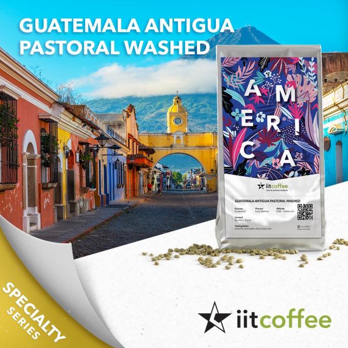 

Arabica Green Beans - Guatemala Antigua Pastoral Washed - 1Kg