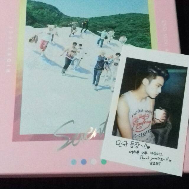 PHOTOCARD / POLAROID MINGYU BOYS BE ALBUM