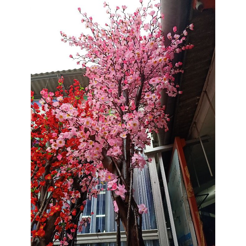 Pohon Bonsai Bunga Sakura Rimbun Besar Hiasan Dekorasi 2m