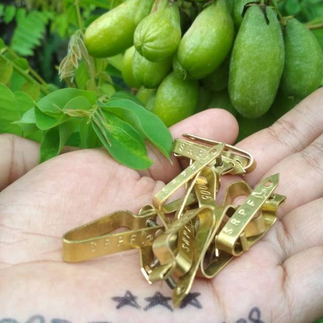 

SEGEL SAYAP isi 10