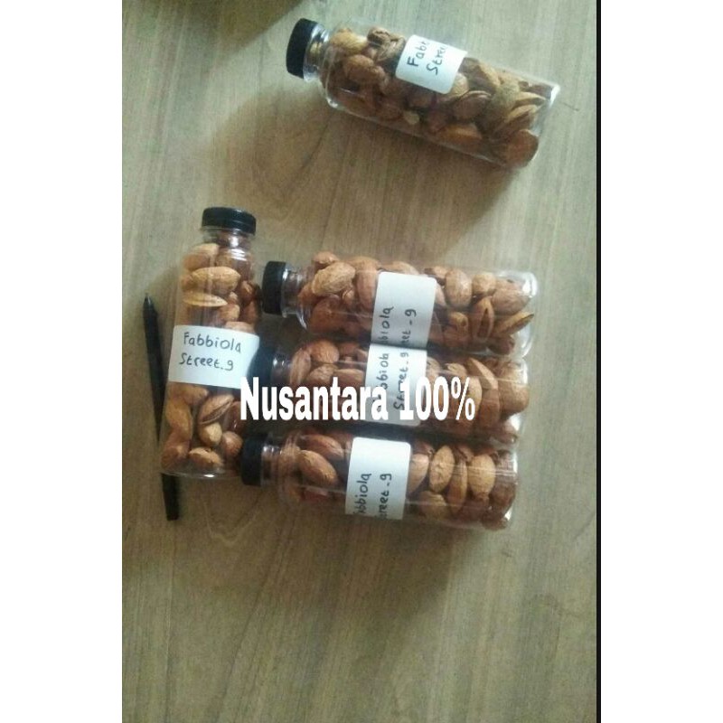 

Kacang Almond Premium/Nusantara 100%/KACANG ALMOND MURAH