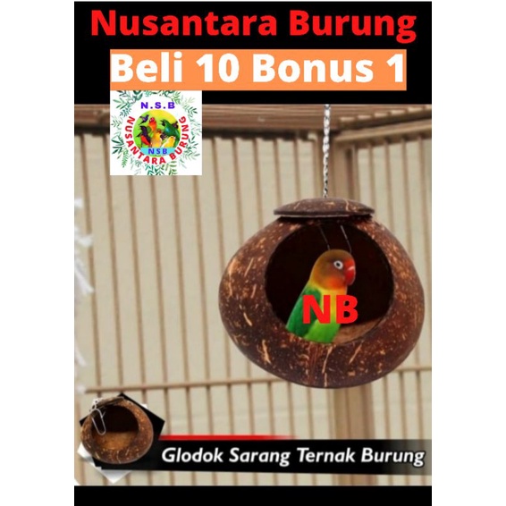 Glodok Burung /Glodok/Kandang/Sangkar Lovebird Glodok Batok