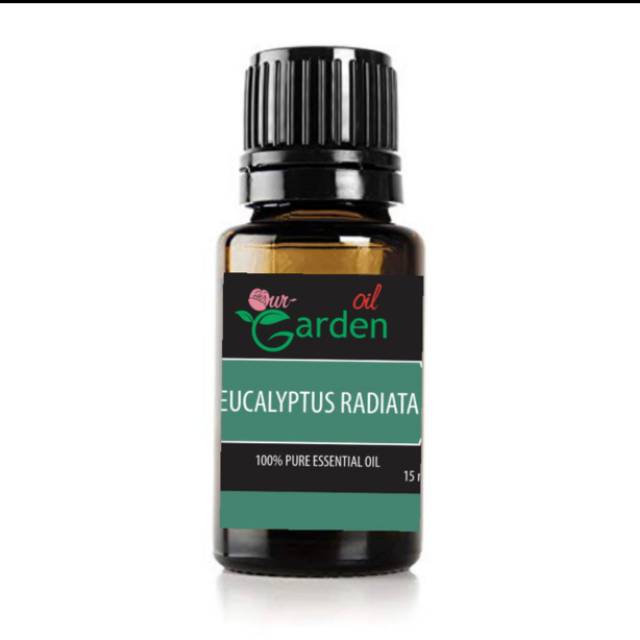 Eucalyptus Radiata Essential Aromatherapy Oil Our Garden / Minyak Aroma Terapi Eucalyptus 15ml
