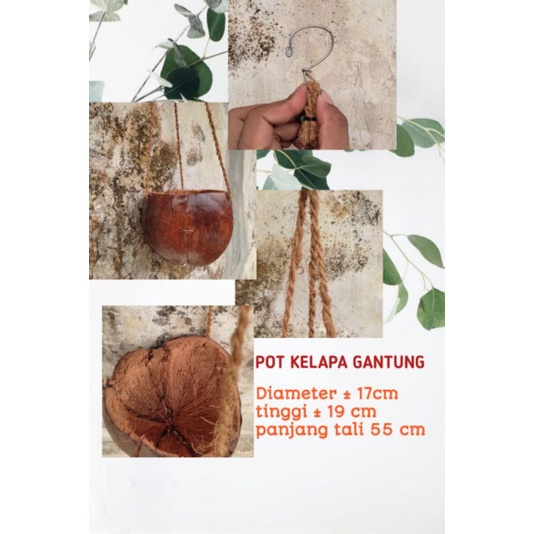 pot gantung/pot kelapa gantung/pot alami/pot sepet kelapa