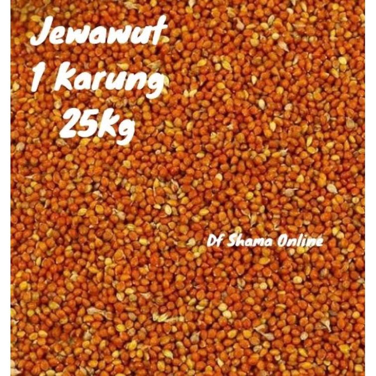 JEWAWUT 25KG 1 KARUNG PAKAN BURUNG