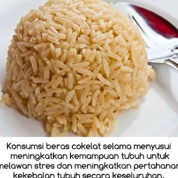 

BERAS COKLAT 5KG/ BROWN RICE ORIGINAL/ RENYAH TYPE 64