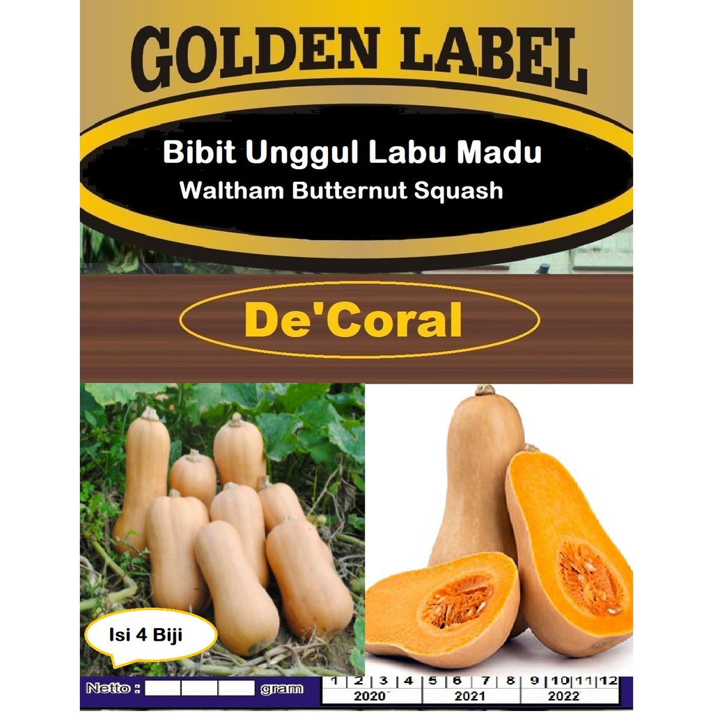 Bibit Unggul Labu Madu Butternut | Bibit Labu Waltham Butternut Squash