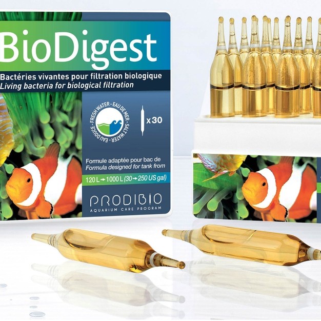 NOASIS Prodibio BioDigest Living bacteria 1 Vial Bakteri Starter Marine Reef