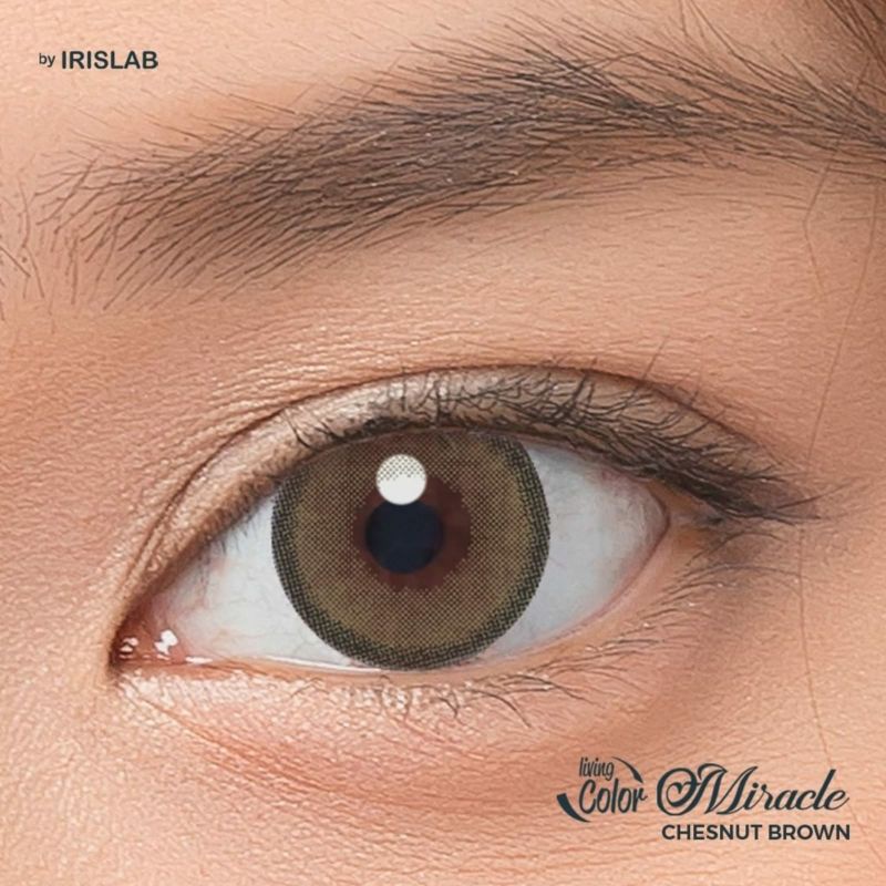 Softlens LIVING COLOR MIRACLE 14.2 MM CHESTNUT BROWN MINUS -0.50 S.D -6.00 by IRISLAB