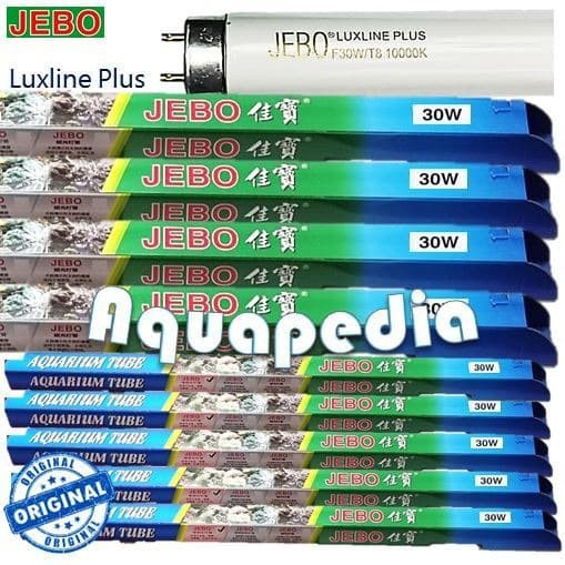 lampu neon t8 jebo 30watt warna putih luxline plus super light 10000k