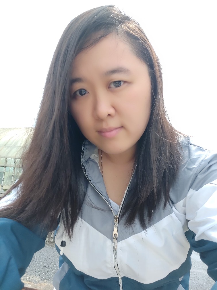 Jktumbrella / Payung Lipat 3 Travelling Polos Warna / Grc - 72003