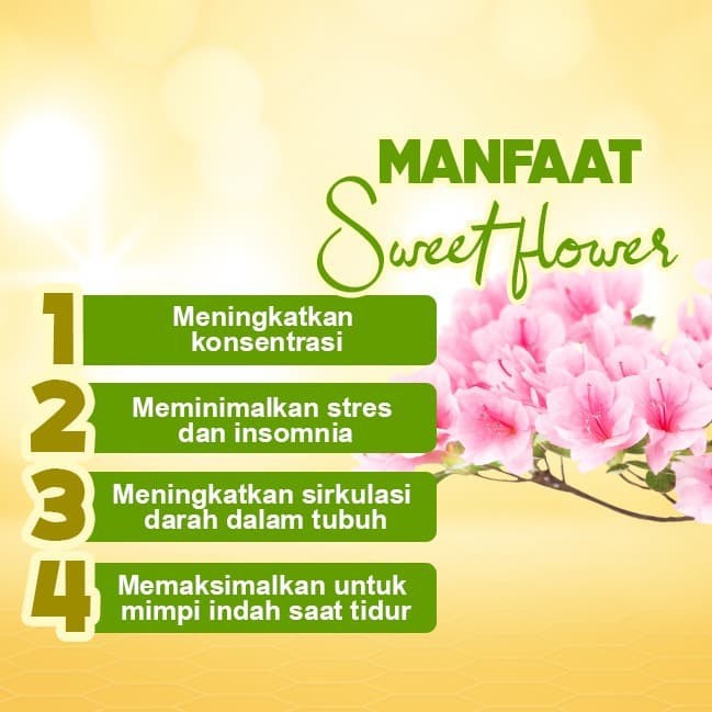 Dupa/ Hio Wangi Harum Baladewa 39 cm 100 gram Sweet Flowers merah