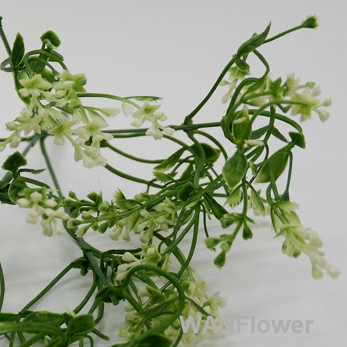 WANFLOWER Daun X5 * ALL