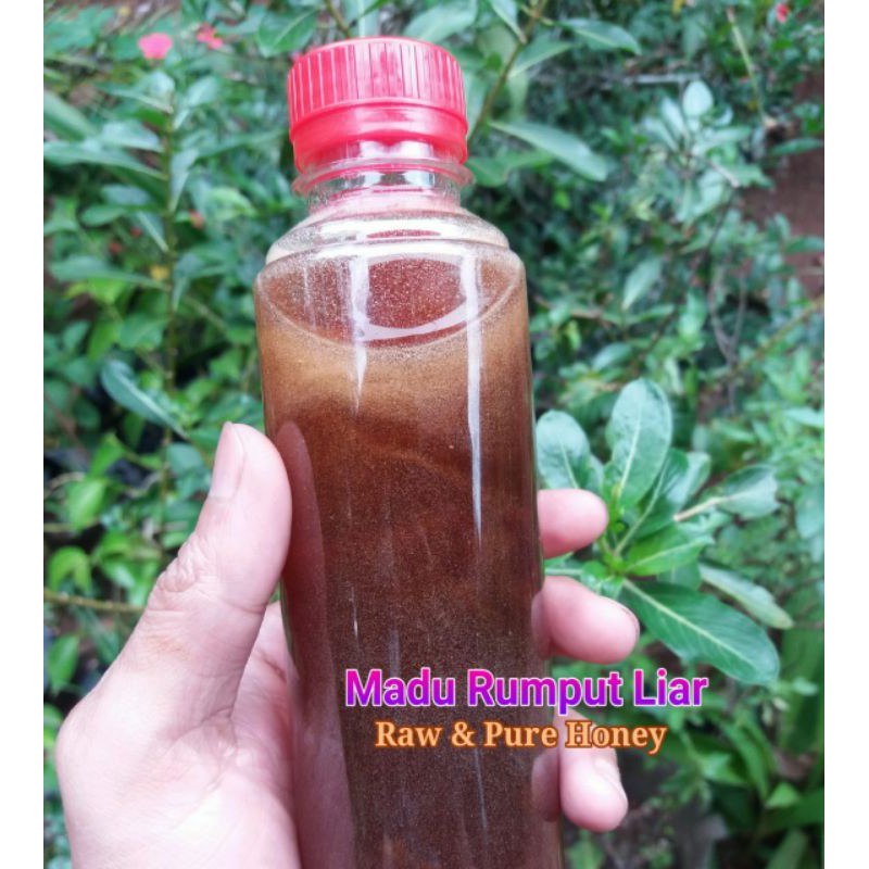 

madu nektar bunga rumput liar