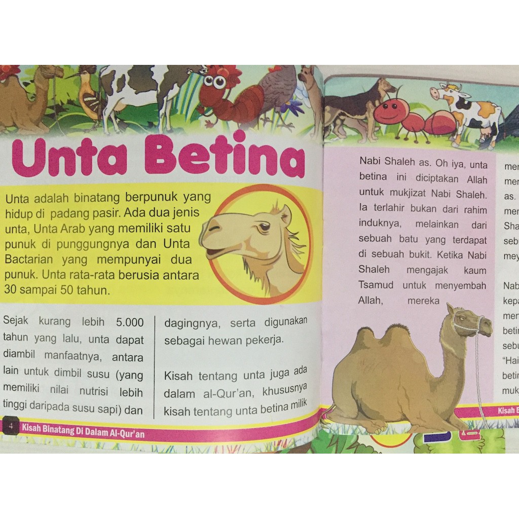 Paket 2 Buku Kisah Binatang Dalam Al Quran Buku Anak Cerita Anak Shopee Indonesia