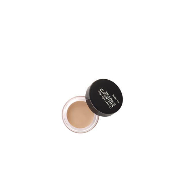 THE SAEM Cover Perfection Pot Concealer