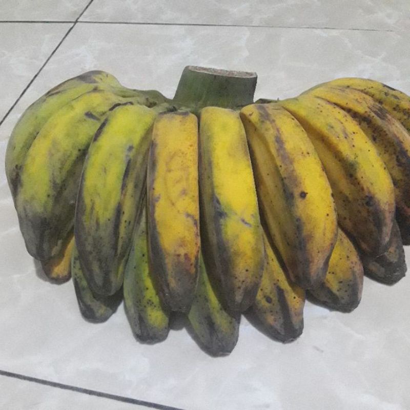 

pisang kepok