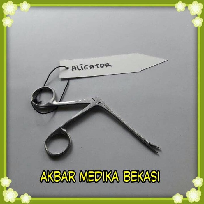 

Gunting Aligator Gunting Alligator By As