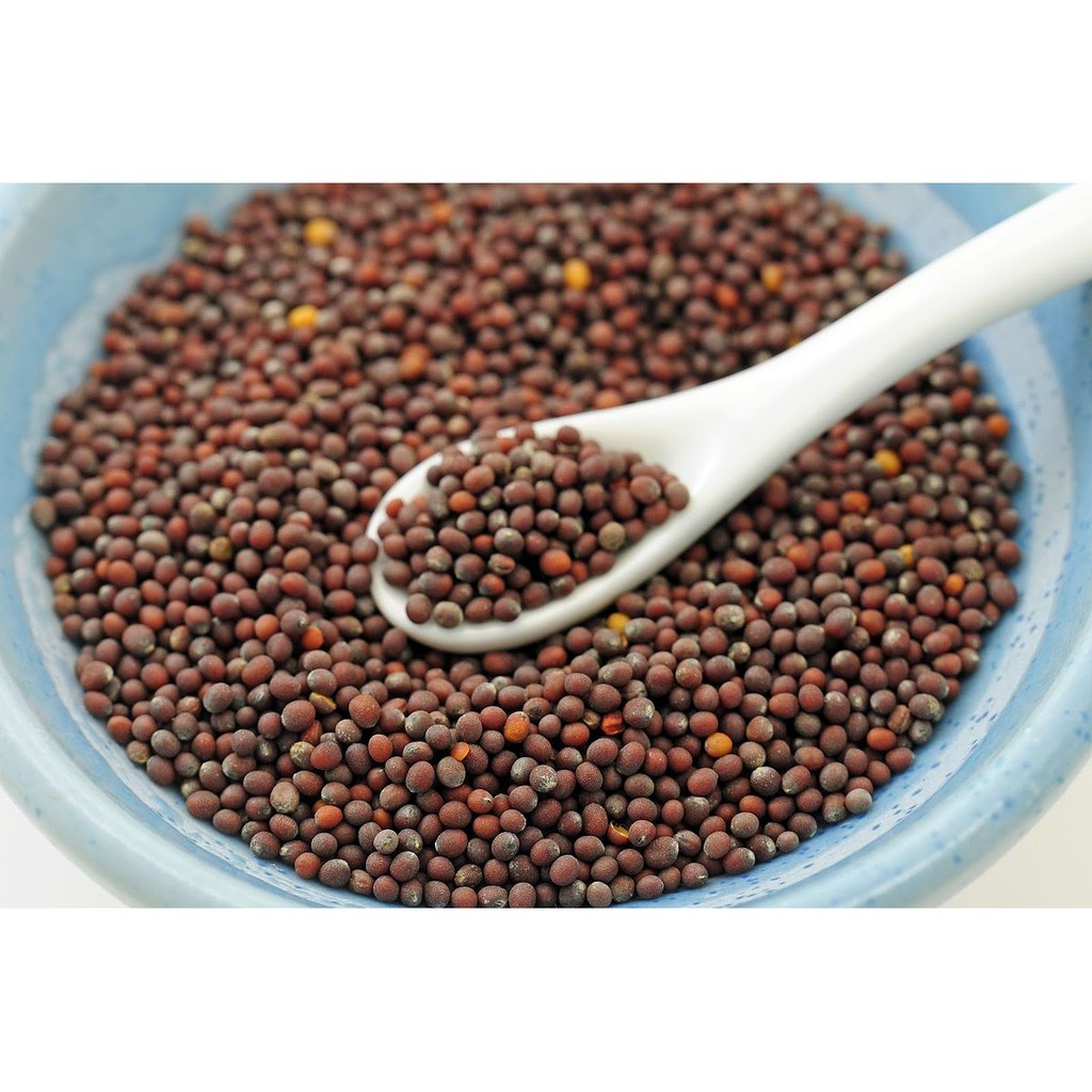 Jual Biji Sawi Black Mustard Seed Shopee Indonesia