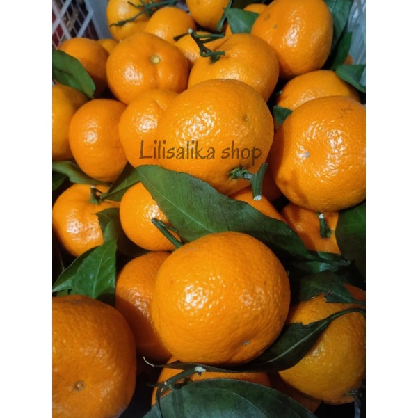 JERUK HONEY MURCOTT MANDARIN