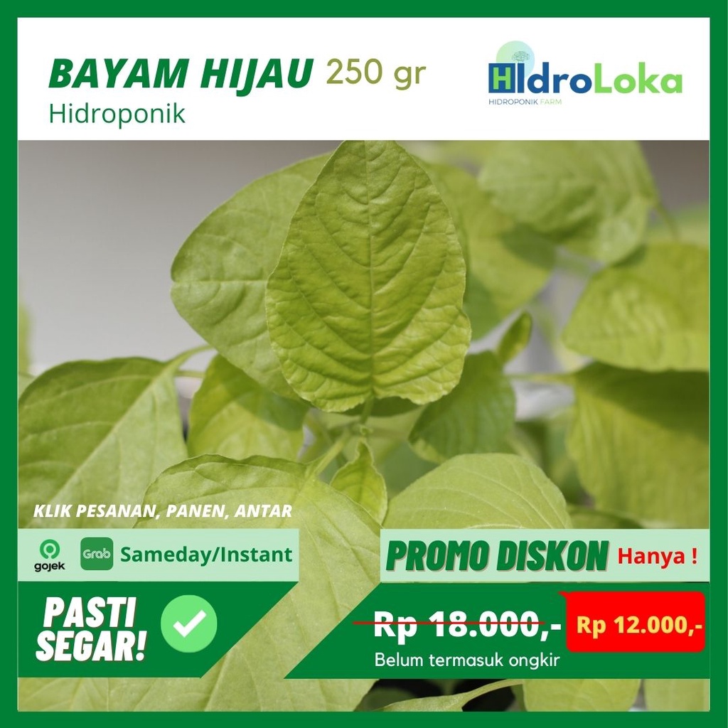 

Bayam Hijau 250gr