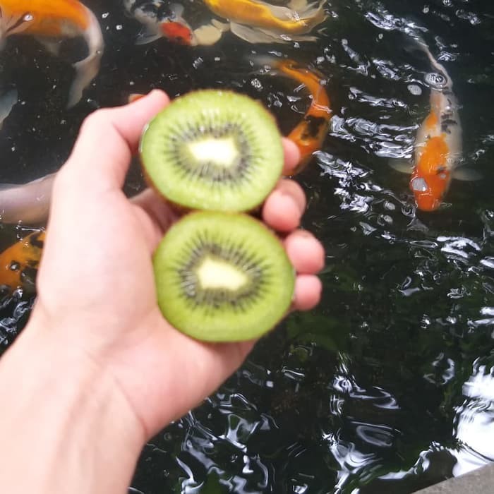 

Kiwi Hijau Import