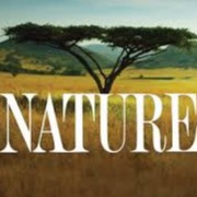 naturale_jkt
