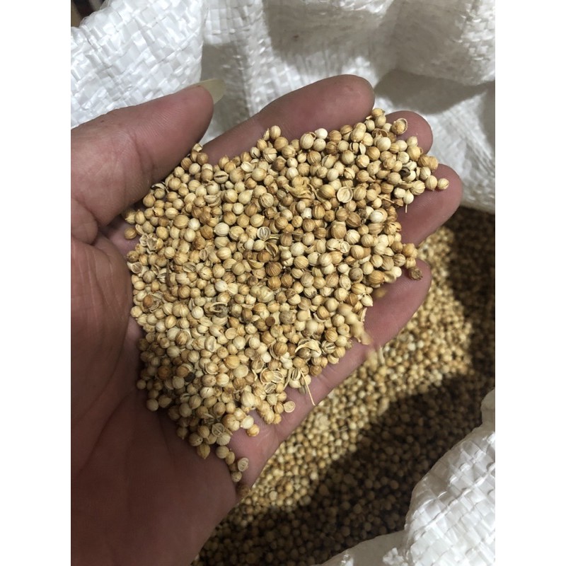 

Biji Ketumbar 100gr