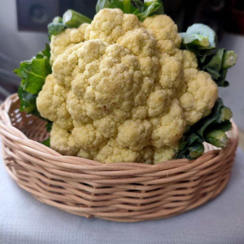 

kembang kol 500gram