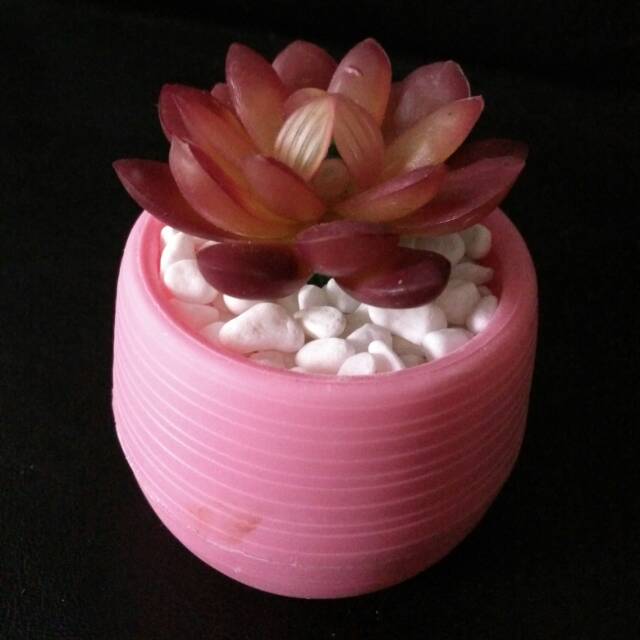 Sukulen succulent kaktus pink  artificial, latex, plastik, palsu