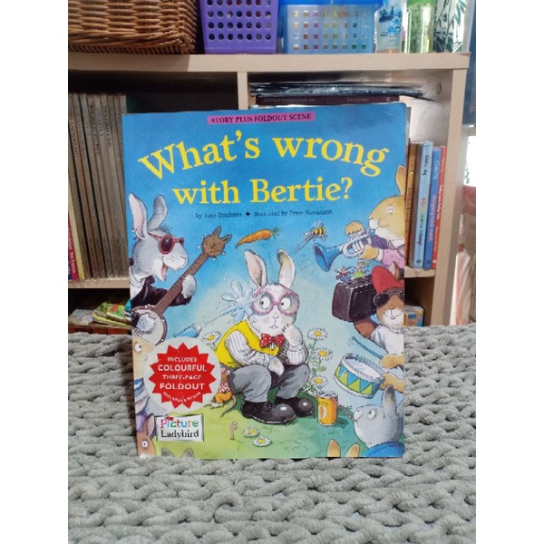 What's Wrong With Bertie?-Picture Ladybird-Peter Stevenson