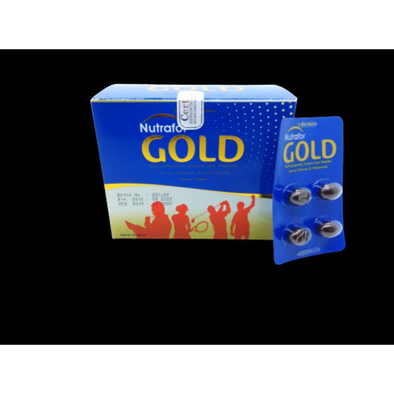 Multivitamin Lengkap plus Zinc