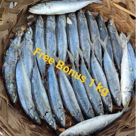 

Ikan Cue + Gratis Bonus