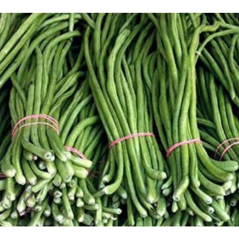 

kacang panjang segar surga kebutuhan ku fresh long beans vegetables