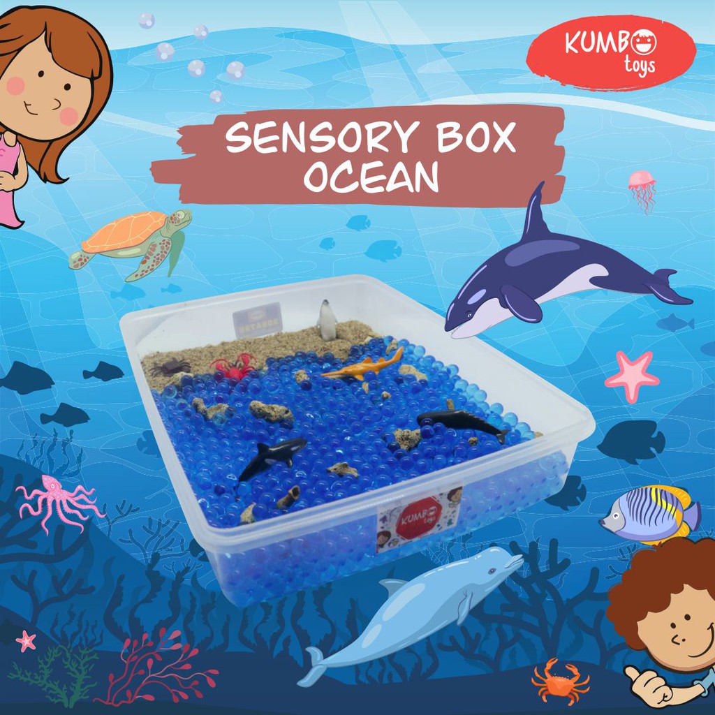 Ocean Sensory Box | Mainan Montessori Sensory Play | Shopee Indonesia