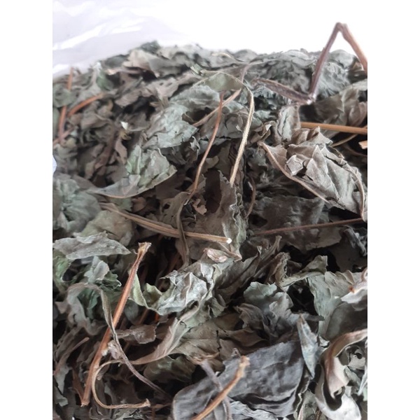 

Daun Insulin Kering 150 gr