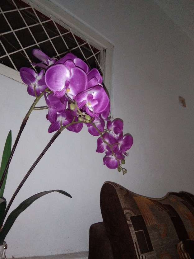 Nagada Spon Mandi / Bath Sponge / Spons Mandi Mekar 15 Gr / Shower Puff - 2w