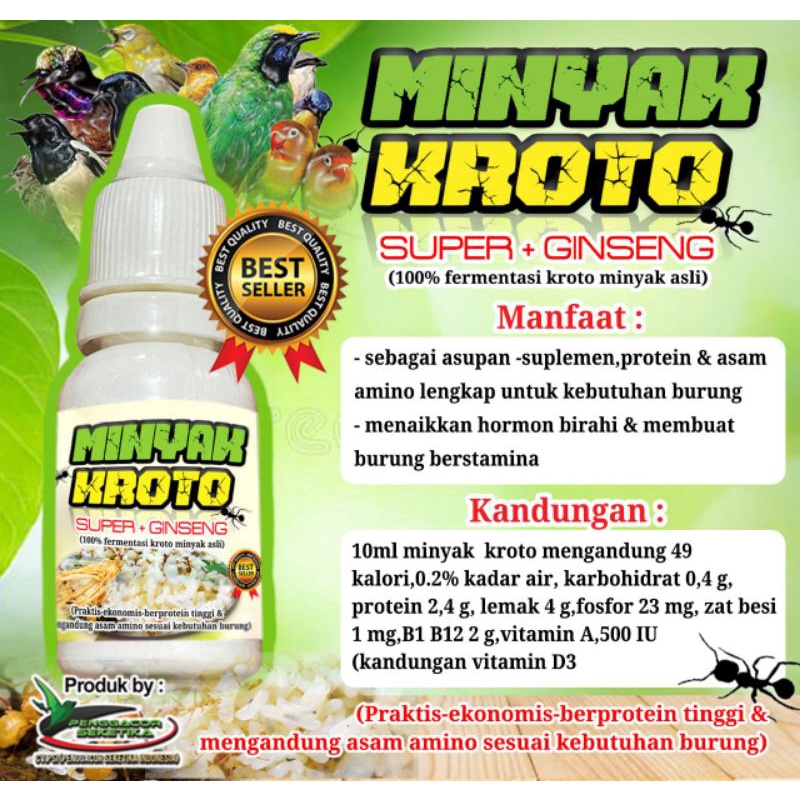 minyak kroto super plus ginseng 100% fermentasi kroto minyak asli by bmw