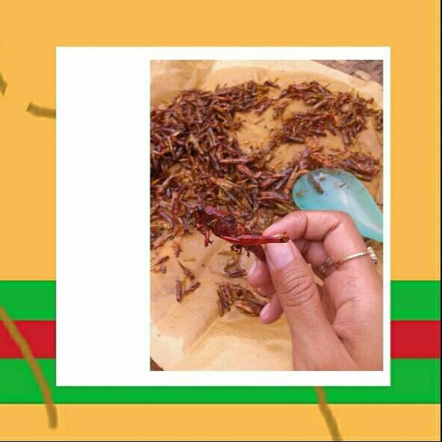 Walang goreng kayu 1kg 1/2 kg