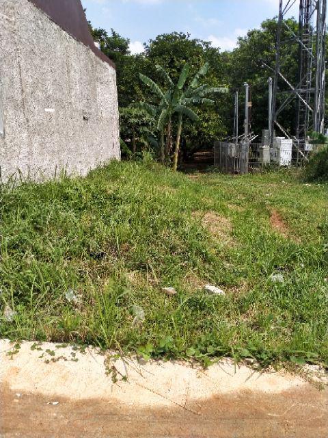 Pembasmi Rumput Pembasmi Gulma Roundup Herbisida @200ml